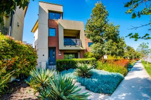 Playa Vista Contemporary